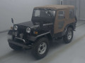 1990 Mitsubishi Jeep
