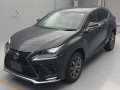 2021 Lexus NX