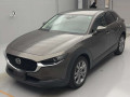 2020 Mazda CX-30
