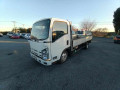 2009 Isuzu Elf Truck
