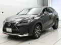 2015 Lexus NX