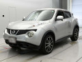 2011 Nissan JUKE