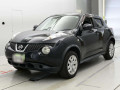 2011 Nissan JUKE