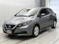 2019 Nissan Leaf