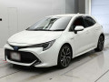 2019 Toyota Corolla Sports