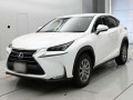 2014 Lexus NX