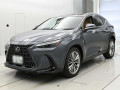 2024 Lexus NX
