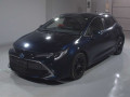 2020 Toyota Corolla Sports