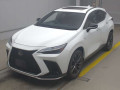 2022 Lexus NX