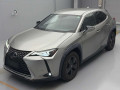 2019 Lexus UX