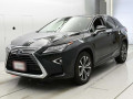 2019 Lexus RX