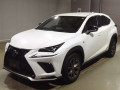 2021 Lexus NX