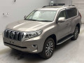 2020 Toyota Land Cruiser Prado