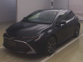 2019 Toyota Corolla Sports