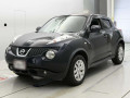 2013 Nissan JUKE