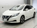 2021 Nissan Leaf