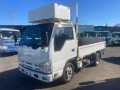 2010 Isuzu Elf Truck