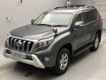 2013 Toyota Land Cruiser Prado