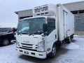 2020 Isuzu Elf Truck