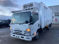 2019 Isuzu Elf Truck