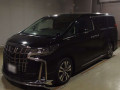 2019 Toyota Alphard