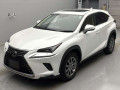 2020 Lexus NX