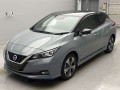 2021 Nissan Leaf