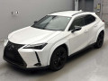 2020 Lexus UX