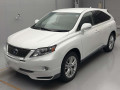 2010 Lexus RX
