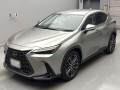 2022 Lexus NX