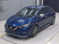 2021 Nissan Leaf