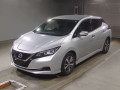 2019 Nissan Leaf