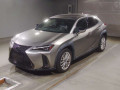 2019 Lexus UX