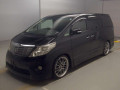 2010 Toyota Alphard