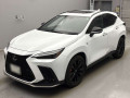 2021 Lexus NX