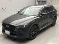 2024 Mazda CX-8