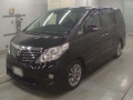 2010 Toyota Alphard