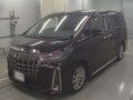 2020 Toyota Alphard