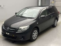 2010 Toyota Corolla Fielder