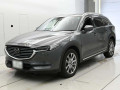 2019 Mazda CX-8