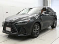 2023 Lexus NX