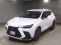 2021 Lexus NX