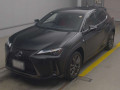2021 Lexus UX