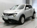 2012 Nissan JUKE