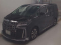 2019 Toyota Alphard