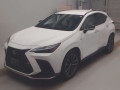 2024 Lexus NX