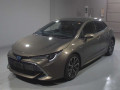2019 Toyota Corolla Sports