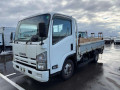 2007 Isuzu Elf Truck