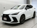 2022 Lexus NX