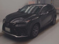 2020 Lexus NX